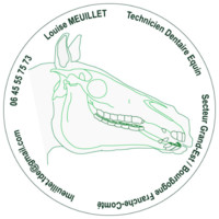 Louise Meuillet - Technicien Dentaire Equin