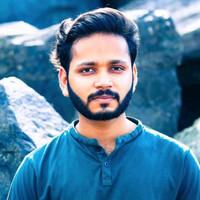 Vishal Paladiya