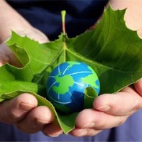 Invest in Green Energy