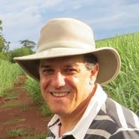 Marcelo Rossi de Camargo Lima