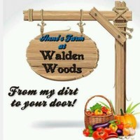 Anne Walden