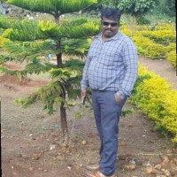Mayakrishnan M
