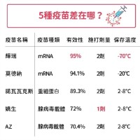 志宏張
