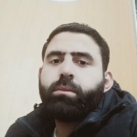 Mohammed Ghoniem Hamed