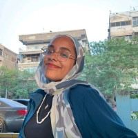 Nour Adel