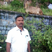 Vijayabaskar Rajikannu