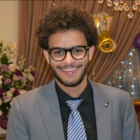 Anas El-Mansy