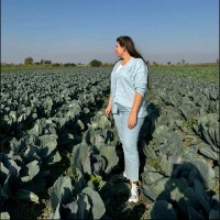 MİNE ATEŞ