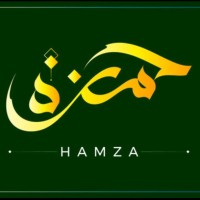 Ameerhamza Sanadi