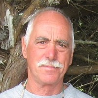Attilio Gatti