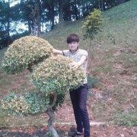 陈英武