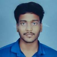 Praveen S