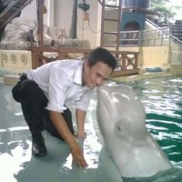 Arif Rahman