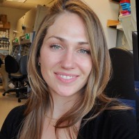 Amanda Shafer