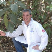 Guilherme Gouvêa