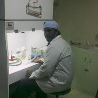 sulthan jailani