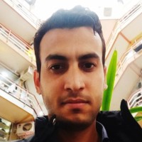 Hamed Ansari