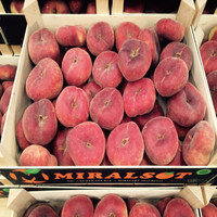 FRUTAS MIRALSOT, S.L.