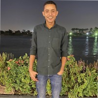 Fady Al-elwany
