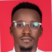 Olumide Ogunleye