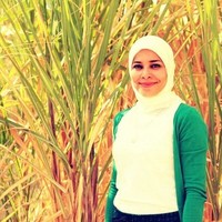 Rana El-Dawy