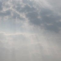 Ravi J