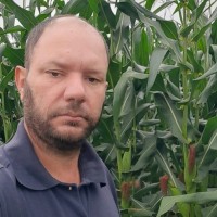 Kleber José Moreira