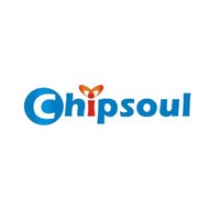 Chipsoul Web Solution (P) LTD