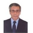 José Carlos Piteira Gomes