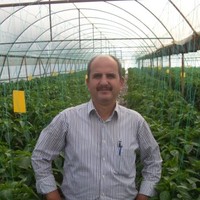 İbrahim Çelik