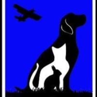 Goleta Airport Pet Hospital