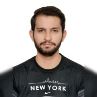 Muhammad Hamza Nasir