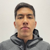 Diego Martin Castillo Gómez