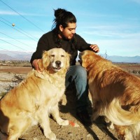Byron Zamorano Soto