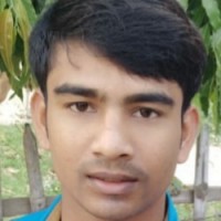 Narayan Kumar