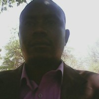 Giant Mudimba