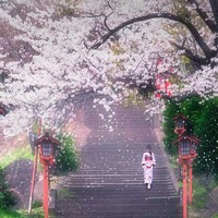 杜洪森