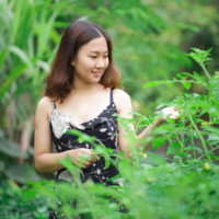 Phu Phan Thi