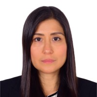 Silvia Lorena López Villayzán - Pmp®