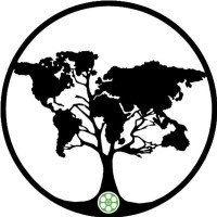 Wisdom Tree International Film Festival