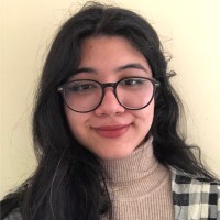 Ingrid Pereira Alves Silva