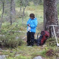 Signe Nybø