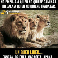 Mario Antonio Méndez Salas