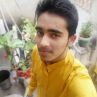 Gulshan Shende