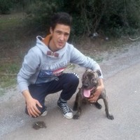 Wael Ben Ayed