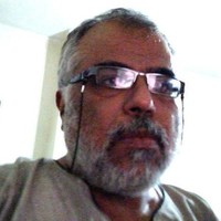 ashraf aly