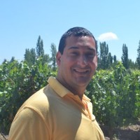 Ariel Chiapella