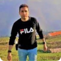 arman riazi