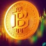 Investor Crypto
