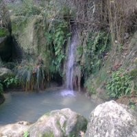 Fotini Ralli
